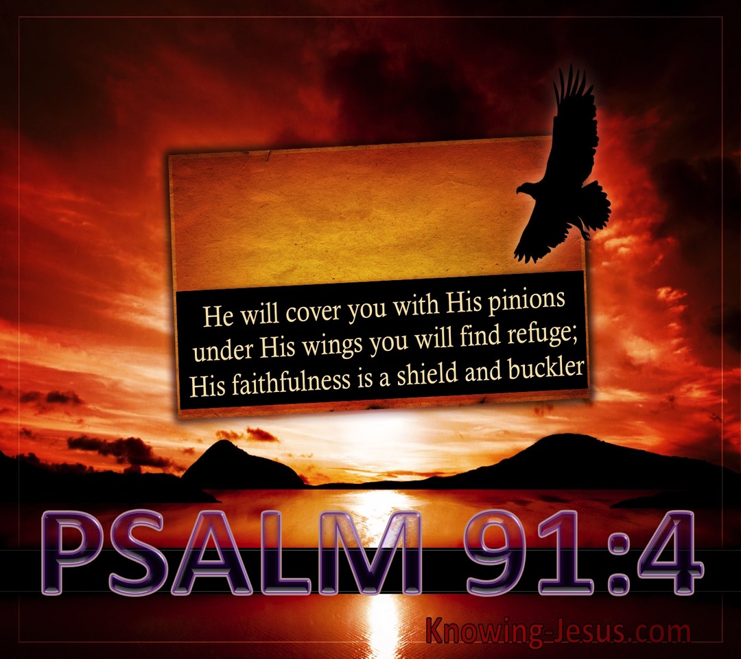 Psalm 91:4 He Will Cover You With His Pinions (black)